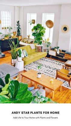 a living room filled with lots of plants and furniture