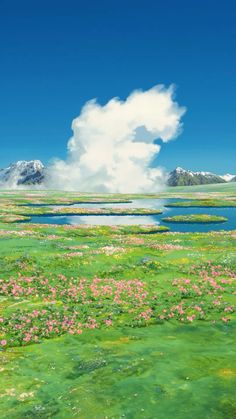 an image of a green field with flowers and mountains in the background