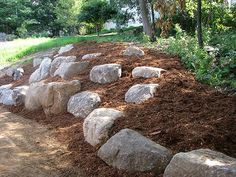 large rocks and mulch in the middle of a dirt path next to some trees