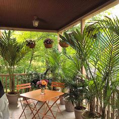 a wooden table sitting on top of a patio next to potted plants and trees