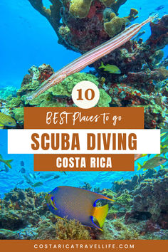 the top 10 places to go scuba diving in costa rica