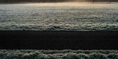 the sun shines brightly through frosty grass on a cold day in this photo