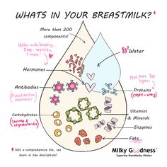 what's in your breast milk? info graphic by milly gondres