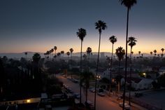 palm trees are silhouetted against the evening sky in this view from an apartment complex