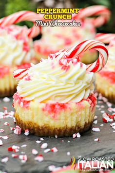 peppermint crunch mini cheesecakes with white frosting and candy canes