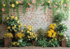 Spring Yellow Flowers Brick Wall Backdrop - Gatsby Backdrop Brick Wall Backdrop, Plants Photography, Spring Yellow, Pregnant Wedding, Birthday Cake Smash, Wall Backdrops, Graffiti Wall, Retro Wall, Old Master