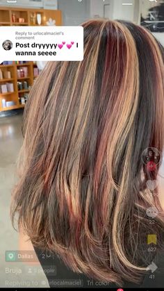 Fall Hair Colors Chunky Highlights, Strawberry Blonde With Dark Highlights, Dark Brown Hair With Copper And Blonde Highlights, Straight Calico Hair, Calico Hair Tutorial, Tri Colored Hair, Calico Cat Hair Color Curly, Calico Hair Subtle, Blended Calico Hair