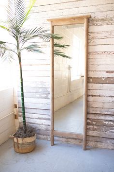 a potted palm tree sitting in front of a mirror on the wall next to a plant