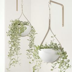 two hanging planters with plants in them and one holding a potted plant on the other side