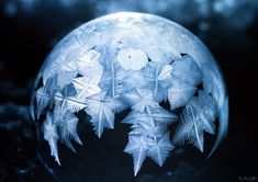 an image of snowflakes in a glass ball ornament on a black background