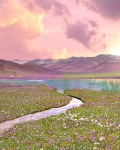 a river running through a lush green field next to a mountain covered in purple flowers