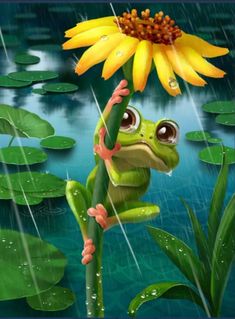 a frog holding onto a flower in the rain