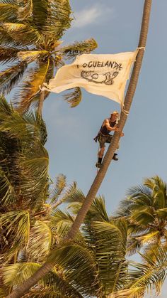 a man climbing up the side of a palm tree on top of a white flag