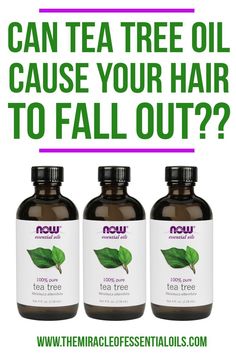 Today’s question of the day is: “Can Tea Tree Oil Cause Your Hair to Fall Out?” Does tea tree oil really cause hair loss? Are these doubts backed by science? Let’s get right into it! Hair Rinse Diy, Rosemary For Hair Growth, Rosemary For Hair, Now Essential Oils, Hair Growth Challenge, Hair Damage