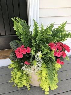 a potted plant with red and green flowers in front of a white house door