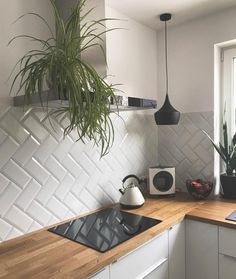 a potted plant sitting on top of a kitchen counter next to a stove top oven