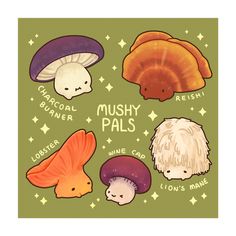 an illustration of mushrooms and their names on a green background with the words mushy pals