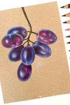 a drawing of grapes with colored pencils next to it