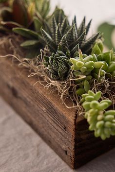 small succulents are growing in a wooden box