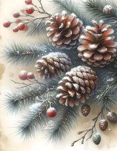 some pine cones and berries on a white background