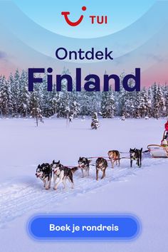 a man riding on the back of a sled pulled by dogs