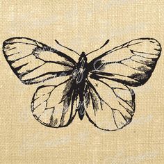 a black and white drawing of a butterfly on a beige background with the words, i love