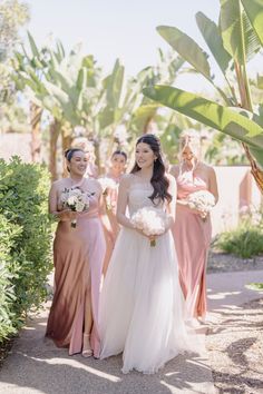 the bride and her bridesmaids are walking together