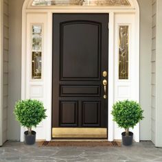 two potted plants sit in front of a black door on a white house with gold trim