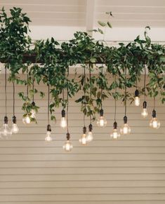 beautiful house decoration ideas Wall Hanging Greenery, Hanging Plants Coffee Shop, Secret Garden Cafe Ideas, Cascading Plants Indoor, Natural Shop Design, Hanging Ladder With Plants, Plant Cafe Interior, Indoor Garden Cafe, Plant Ceiling Decor