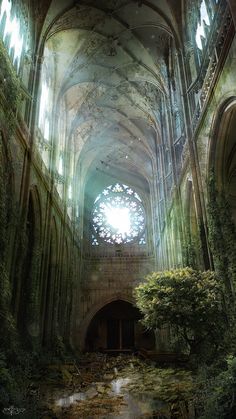 the interior of an abandoned cathedral with sunlight streaming through the windows and ivy growing on the walls