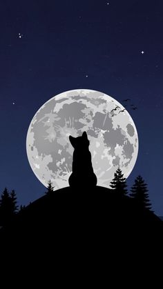 a wolf sitting on top of a hill under a full moon