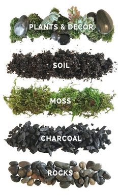 different types of plants and rocks on a white background with the words soil, moss, chacoal, rocks