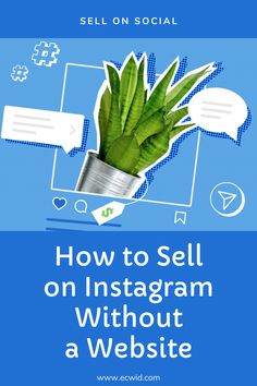 a plant in a pot with the words how to sell on instagram without a website