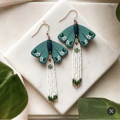 a pair of green and white butterfly earrings on a plate next to a potted plant