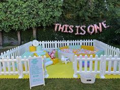 this is an image of a birthday party in the yard with toys and decorations on it