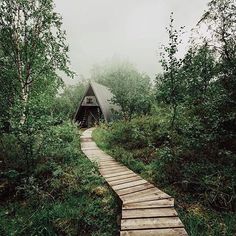 a wooden walkway leading to a cabin in the woods on a foggy day with trees around