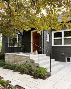 a dog is sitting on the steps in front of a house