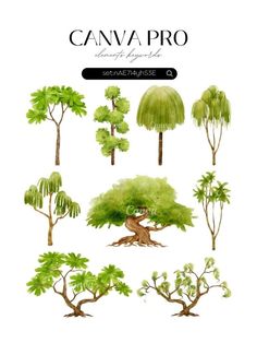 an image of trees and plants drawn in watercolor on white paper with the title canva pro