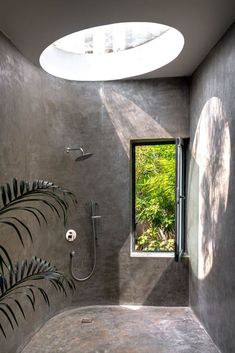 a bathroom with a skylight above it and a plant in the shower area next to the window