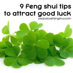 green leaves with the words 9 feng shui tips to attract good luck