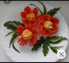 three red flowers sitting on top of a white plate with green leaves and stems in it