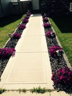 a long walkway with purple flowers on the side and grass in the front yard area