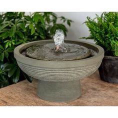 a bird bath sitting on top of a wooden table next to potted greenery