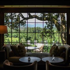 two cats sitting on couches in front of an open window looking out at the mountains