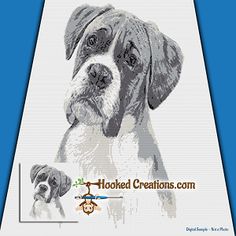 an image of a dog on a blue background with the words hooked creations com written below it