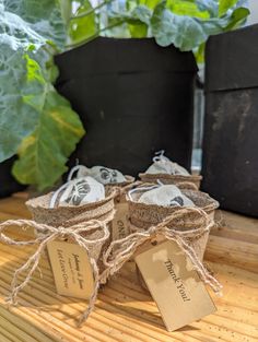 three small baskets with tags tied to them on a table next to potted plants