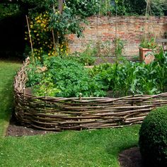 a vegetable garden in the middle of a brick walled area with lots of green plants