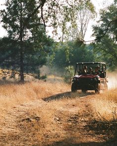 a group of people riding on the back of a four wheeled vehicle through a forest