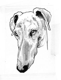 a black and white drawing of a dog's head