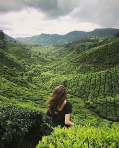 a woman standing in the middle of a lush green tea field with mountains in the background